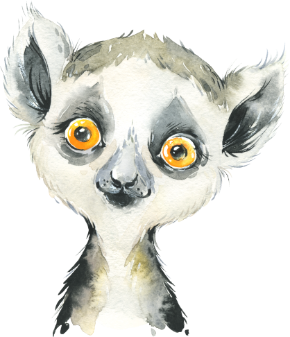 (s313-1-1X) Baby Lemur