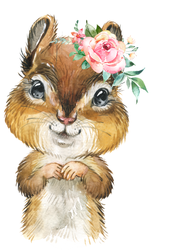 (s313-1-3Y-45) Baby Chipmunk Flowers
