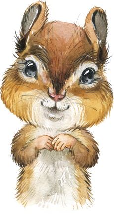 (s313-1-3Y) Baby Chipmunk