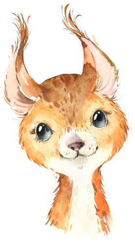 (s313-1-1Y) Baby Squirrel