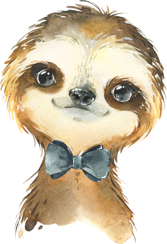 (s313-1-1Z-20) Baby Sloth Black Bowtie