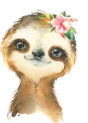 (s313-1-1Z-41) Baby Sloth Flowers
