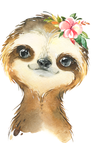(s313-1-1Z-41) Baby Sloth Flowers
