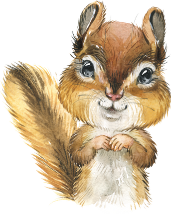 (s313-1-3Z) Baby Chipmunk