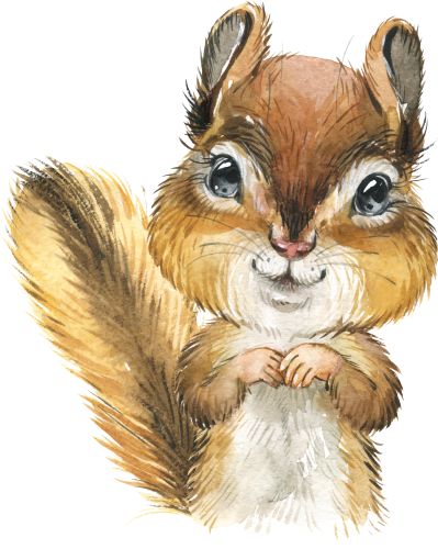 (s313-1-3Z) Baby Chipmunk