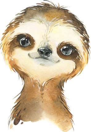 (s313-1-1Z) Baby Sloth