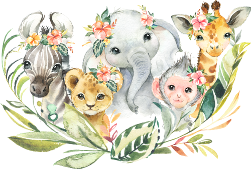 (s313-2-A) Safari Animals Group
