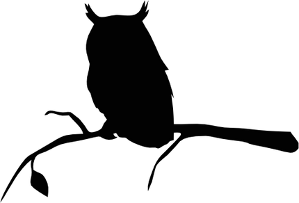 (s031-K) Owl Silhouette Branch