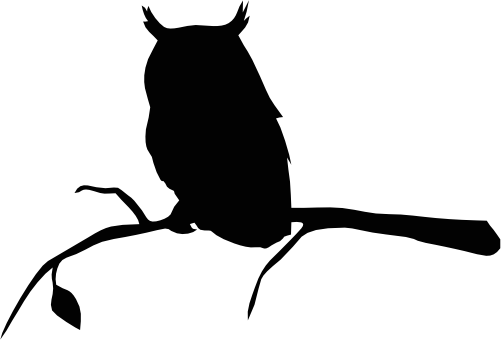 (s031-K) Owl Silhouette Branch