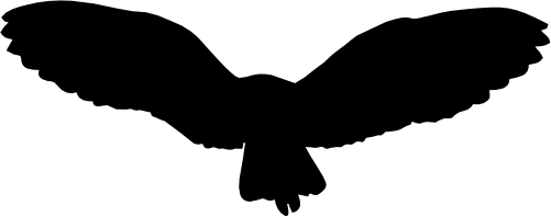 (s031-O) Owl Silhouette