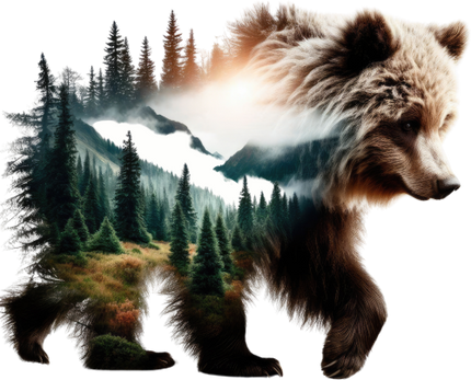 (s324-2-I) Double Exposure Bear