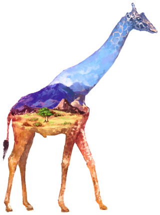 (s324-1-C) Giraffe Double Exposure