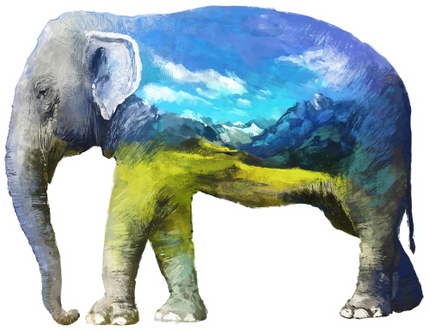 (s324-1-E) Elephant Double Exposure