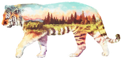 (s324-1-G) Tiger Double Exposure