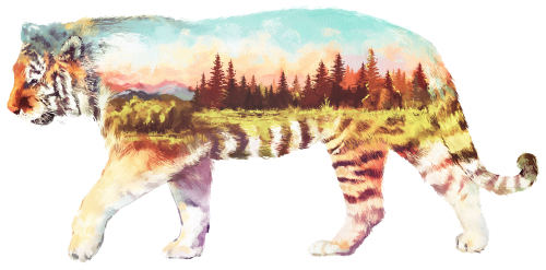 (s324-1-G) Tiger Double Exposure