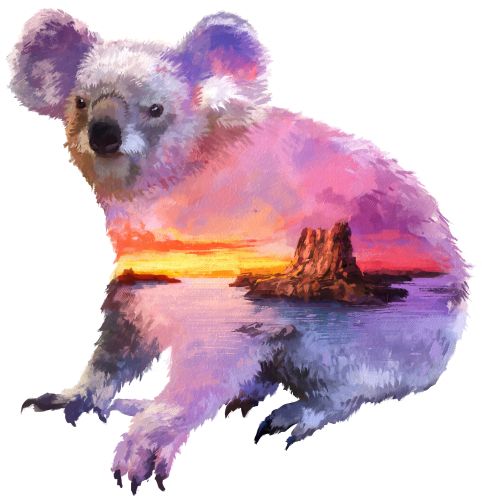 (s324-1-H)  Koala Double Exposure
