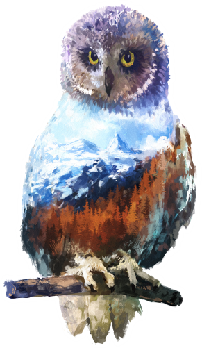 (s324-1-I) Owl  Double Exposure