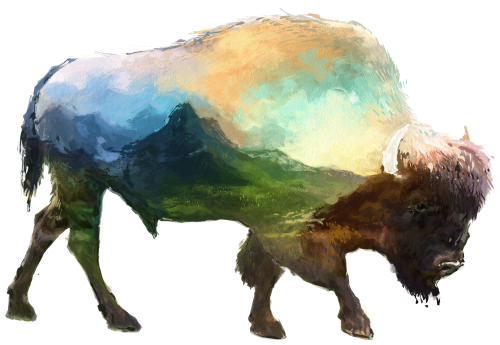 (s324-1-M) Buffalo Double Exposure