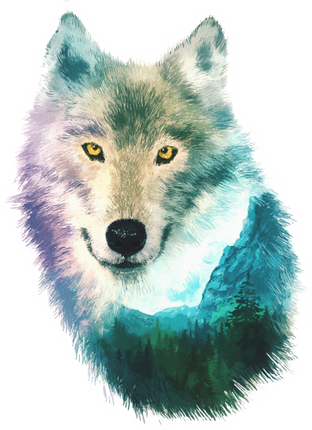 (s324-1-O) Wolf Double Exposure