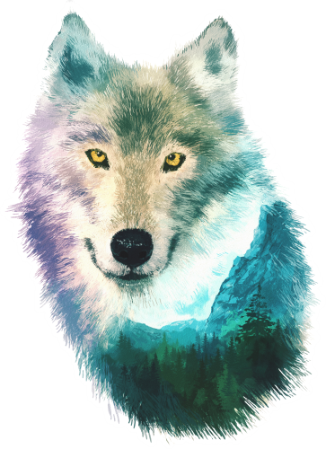 (s324-1-O) Wolf Double Exposure