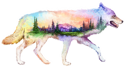 (s324-1-P) Wolf Double Exposure