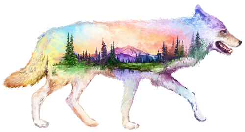 (s324-1-P) Wolf Double Exposure