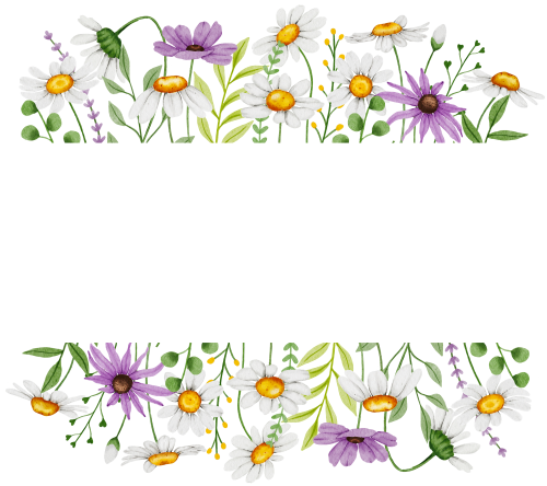 (325-02-3H) White Daisy Daisies Flower Border Frame