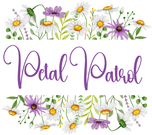 (325-2-3H) Bridal Wedding Party Watercolor Daisy Border Custom Text