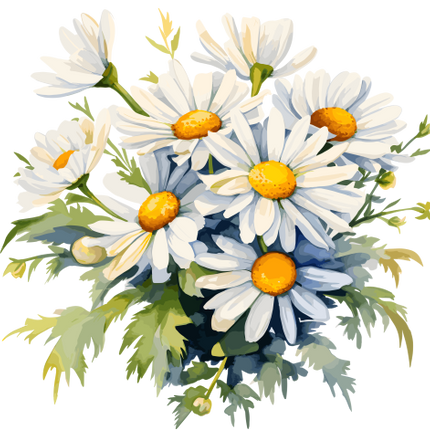 (325-02) White Daisy Daisies Bouquet