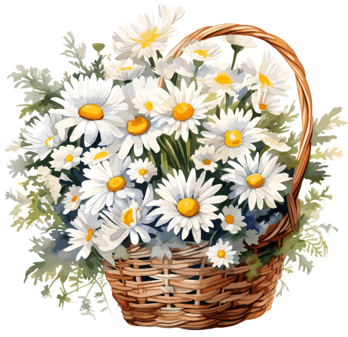(325-02) Basket of White Daisies