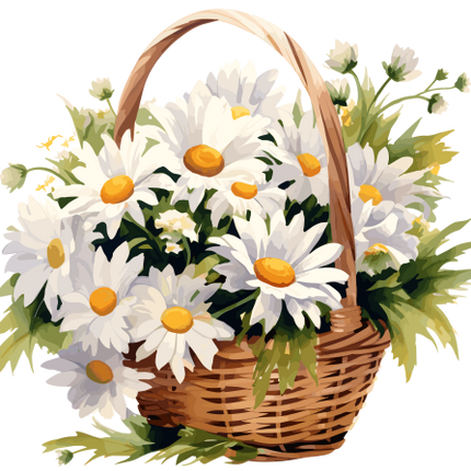 (325-02) Basket of White Daisies