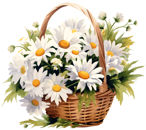 (325-02) Basket of White Daisies