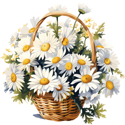(325-02) Basket of White Daisies