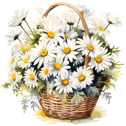 (325-02) Basket of White Daisies