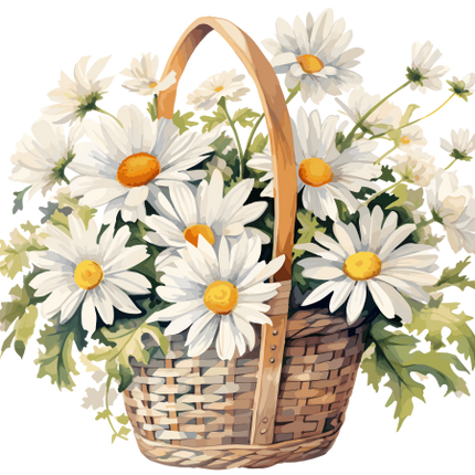 (325-02) Basket of White Daisies