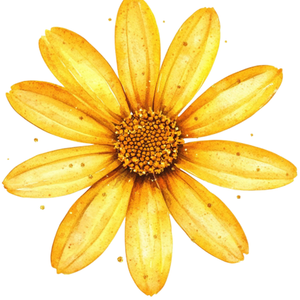 (325-02-3S) Yellow Daisy Flower