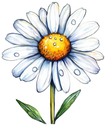 (325-02) White Daisy Single Flower