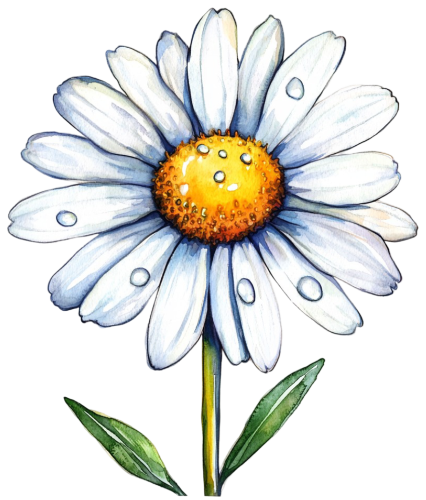 (325-02) White Daisy Single Flower