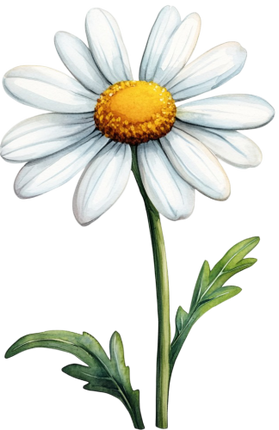 (325-02) White Daisy Single Flower
