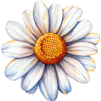 (325-02) White Daisy Single Flower