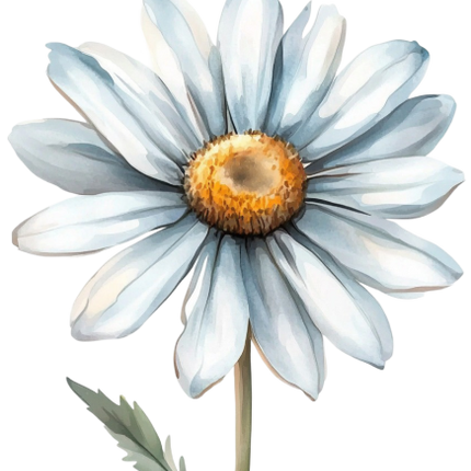 (325-02) White Daisy Single Flower