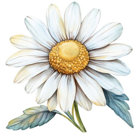 (325-02) White Daisy Single Flower