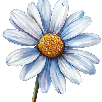 (325-02) White Daisy Single Flower