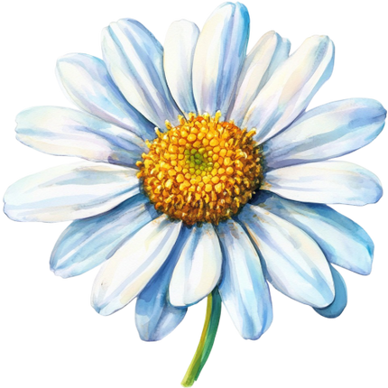(325-02) White Daisy Single Flower