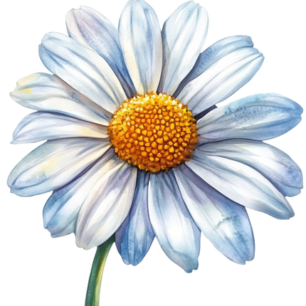 (325-02) White Daisy Single Flower