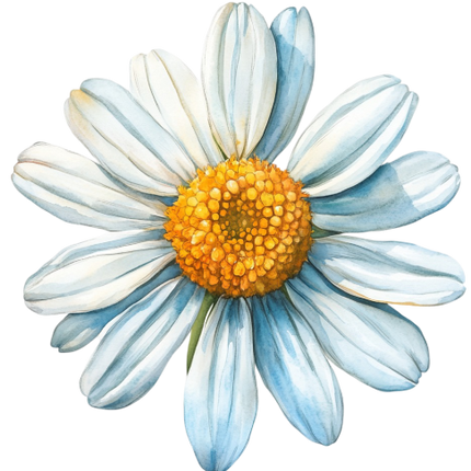 (325-02) White Daisy Single Flower
