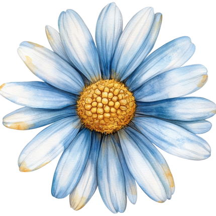 (325-02) White Daisy Single Flower