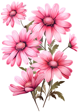(325-02) Pink Daisy Flowers