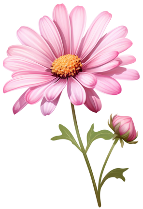 (325-02) Pink Daisy Flower