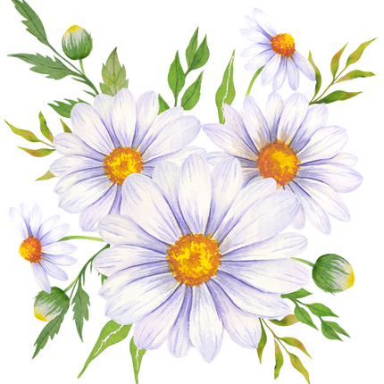(325-02) White Daisy Daisies
